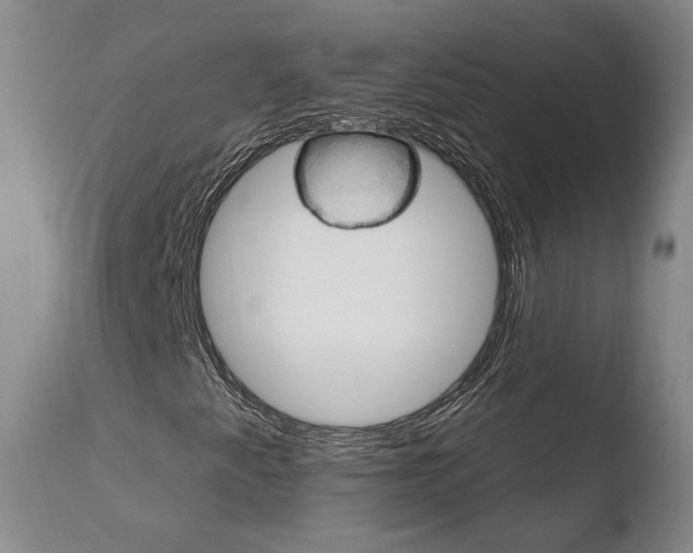 X0000110761345200906150920