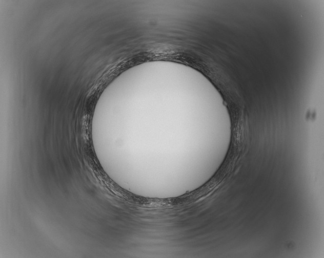 X0000110761346200906150920