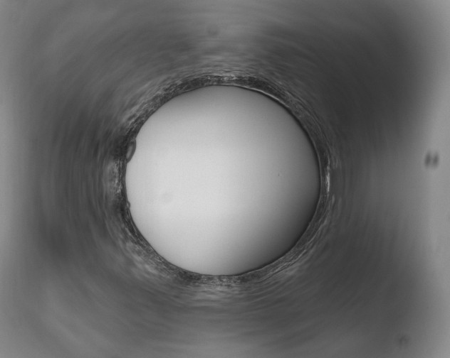X0000110761347200906150920