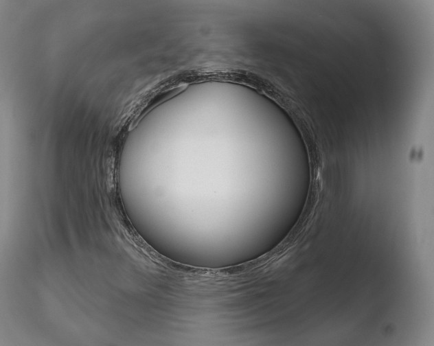 X0000110761348200906150920