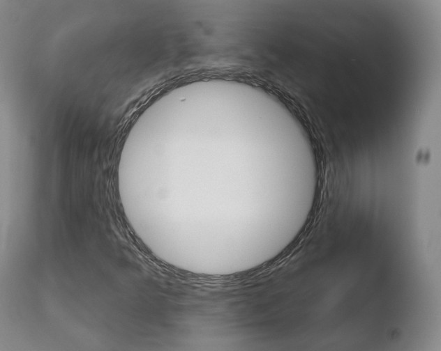 X0000110761349200906150920