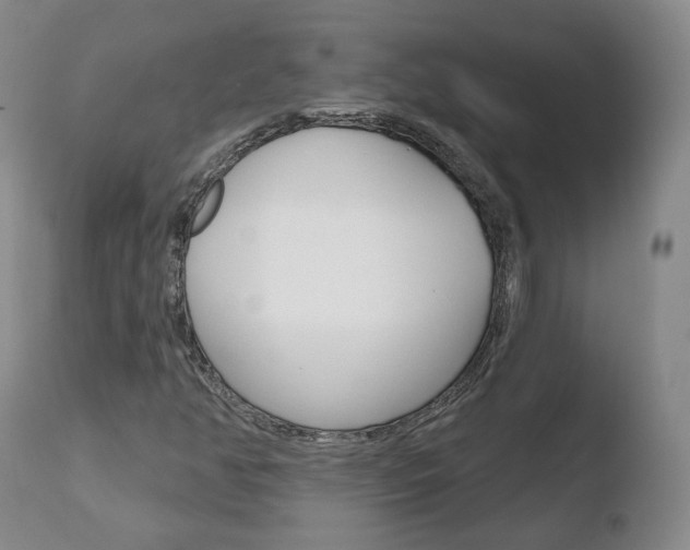 X0000110761350200906150920