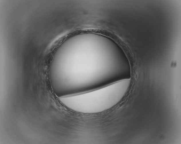 X0000110761351200906150920