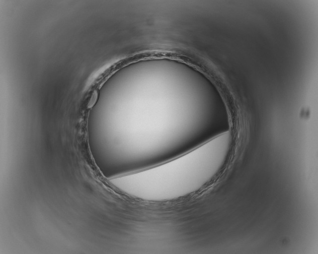 X0000110761352200906150920