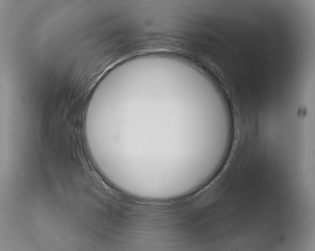 X0000110761353200906150920