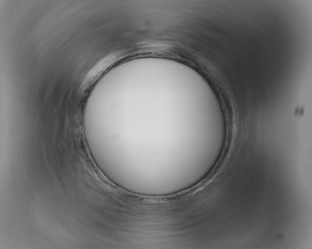 X0000110761354200906150920