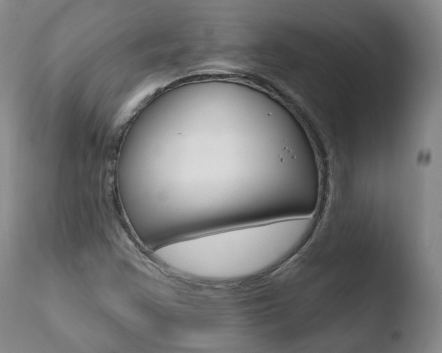 X0000110761355200906150920