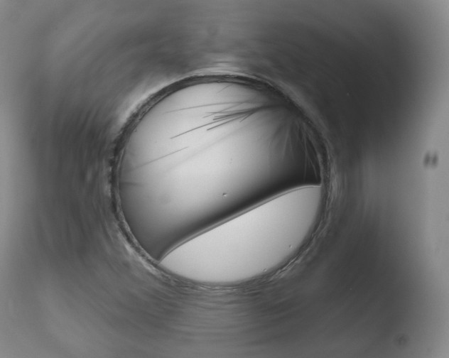 X0000110761356200906150920