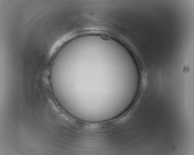 X0000110761357200906150920