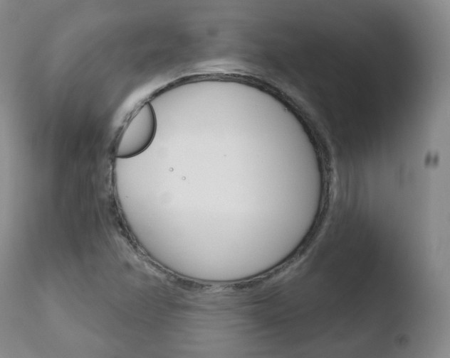 X0000110761358200906150920