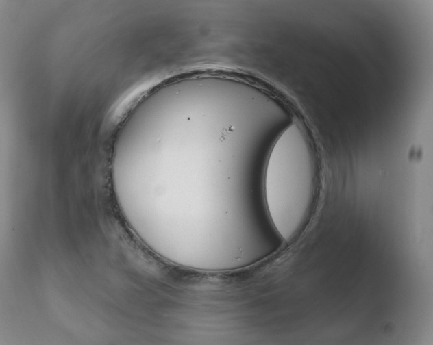 X0000110761359200906150920