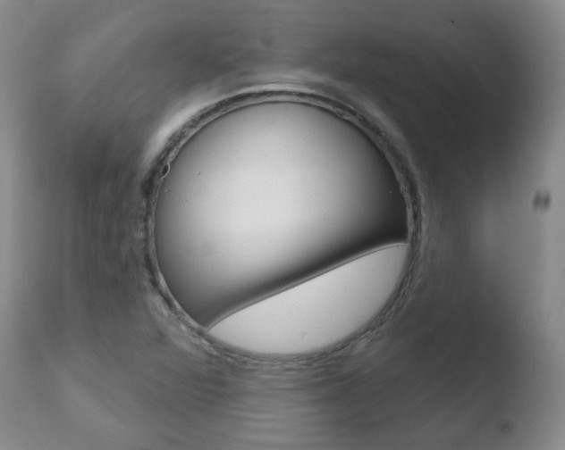 X0000110761360200906150920