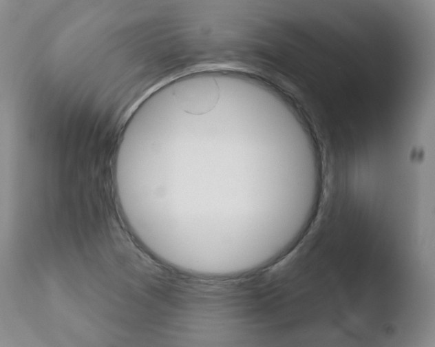 X0000110761361200906150920