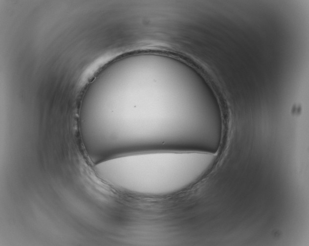 X0000110761363200906150920