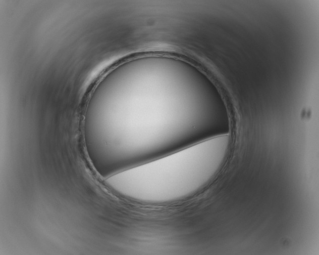 X0000110761364200906150920