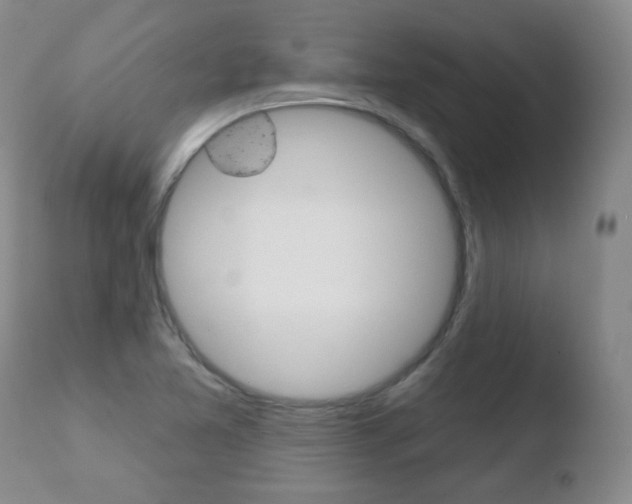 X0000110761365200906150920