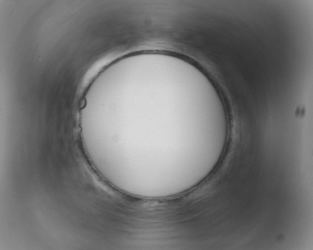X0000110761366200906150920