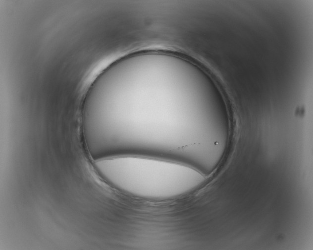 X0000110761367200906150920