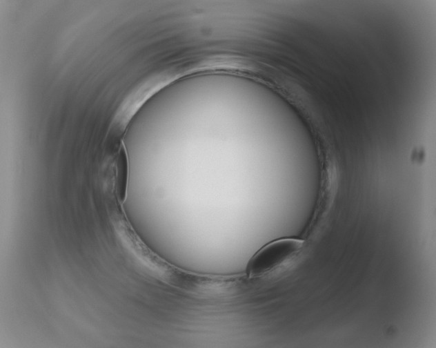 X0000110761369200906150920