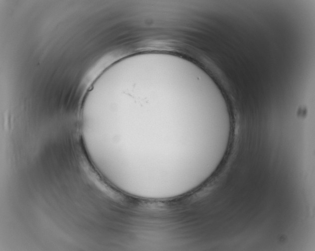 X0000110761370200906150920