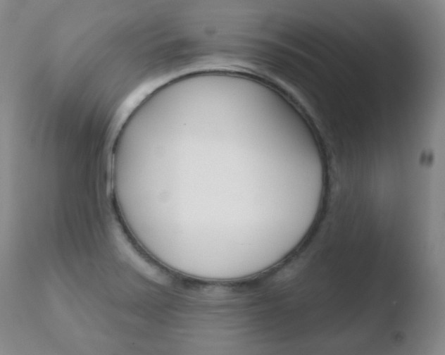 X0000110761371200906150920