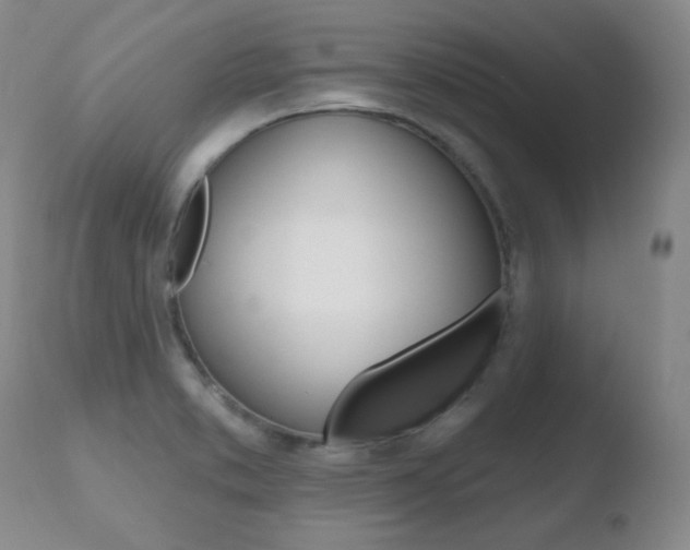 X0000110761373200906150920