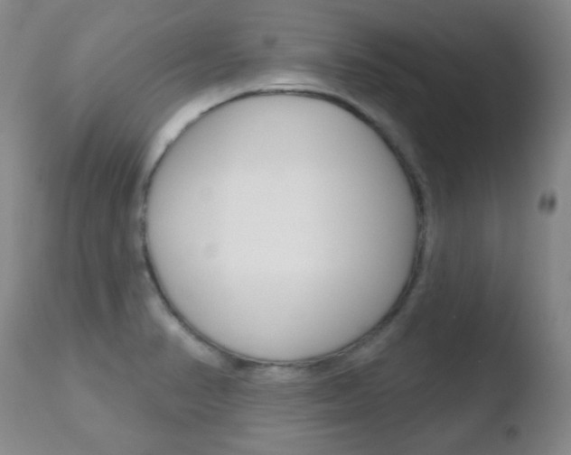 X0000110761374200906150920
