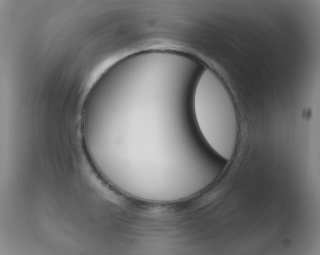 X0000110761375200906150920