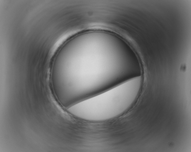 X0000110761376200906150920