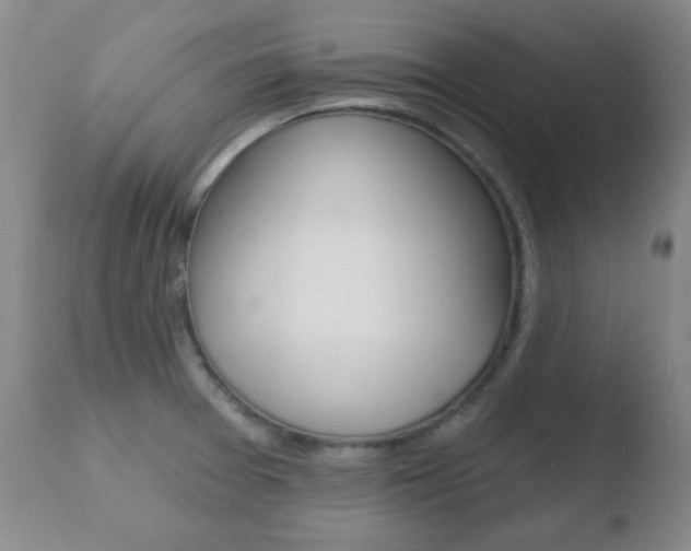 X0000110761377200906150919