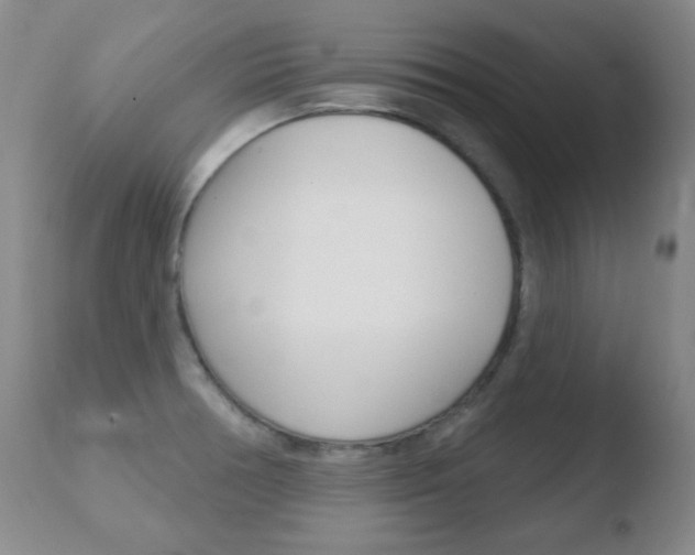 X0000110761378200906150919