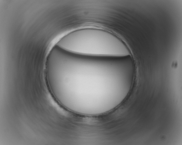 X0000110761379200906150919