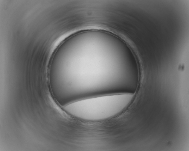 X0000110761380200906150919