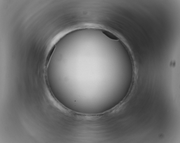 X0000110761381200906150919