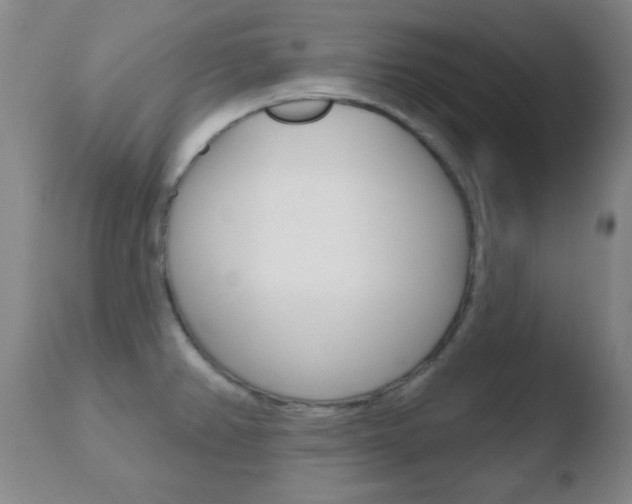 X0000110761382200906150919