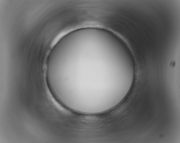 X0000110761383200906150919