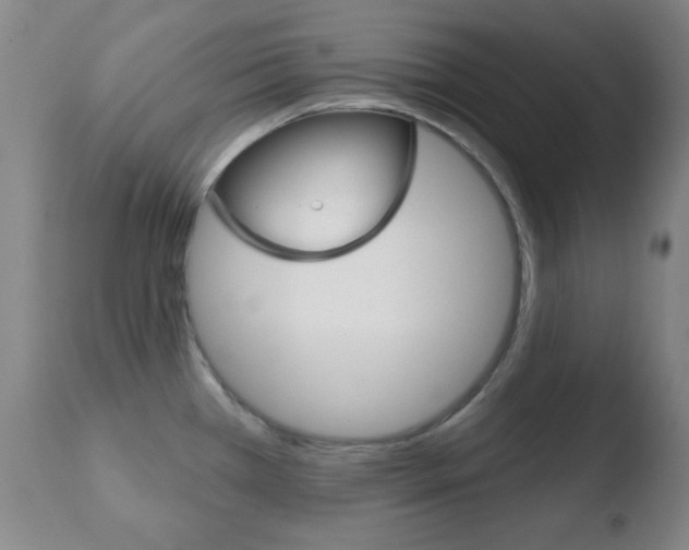 X0000110761385200906150919