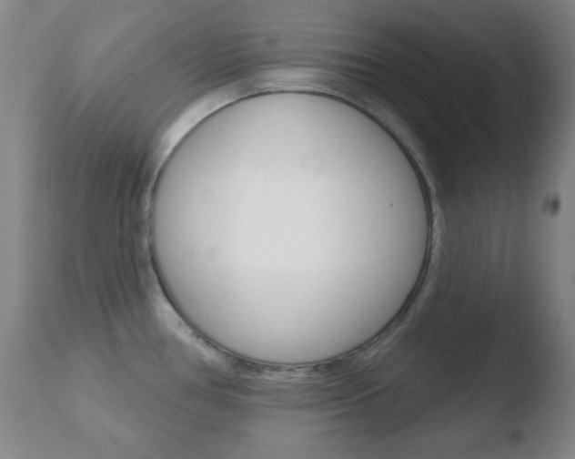 X0000110761386200906150919