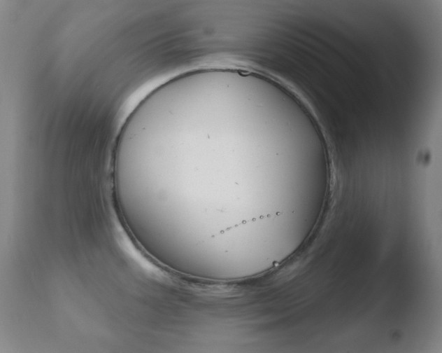 X0000110761387200906150919