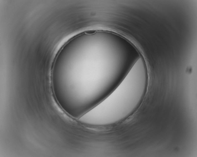 X0000110761388200906150919