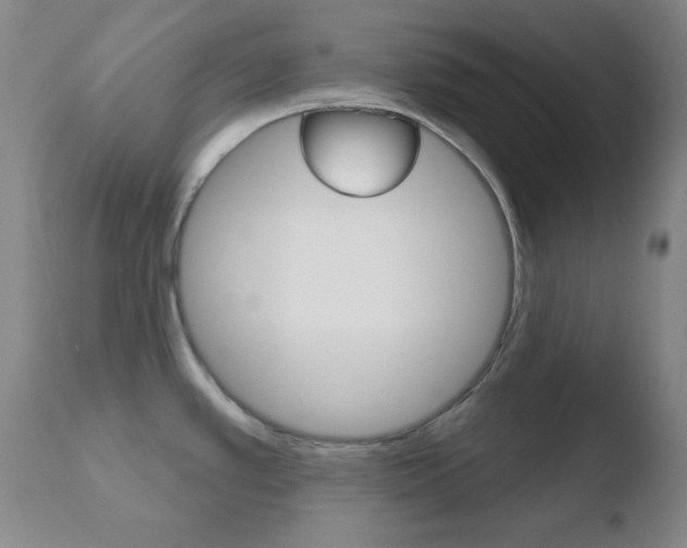 X0000110761389200906150919