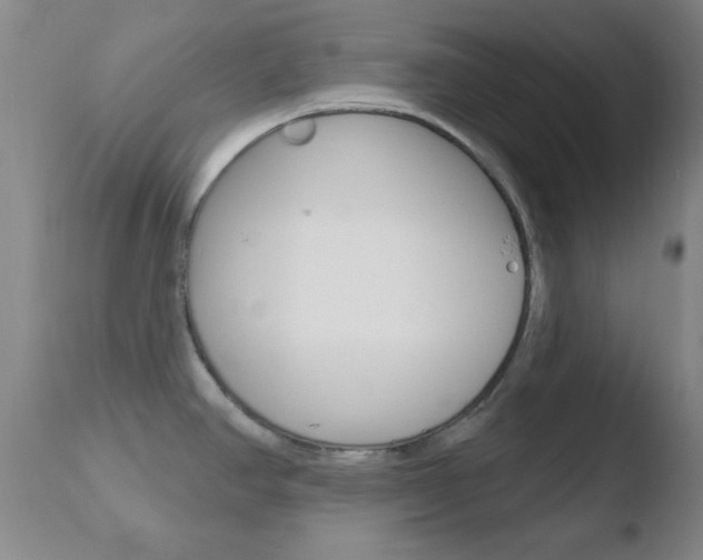 X0000110761390200906150919