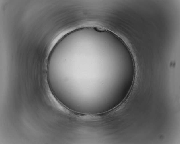 X0000110761392200906150919