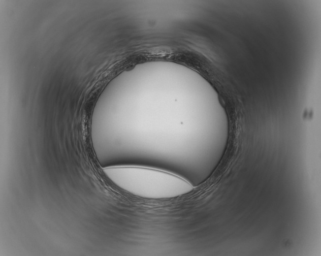 X0000110761394200906150918