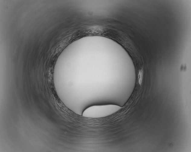 X0000110761395200906150918