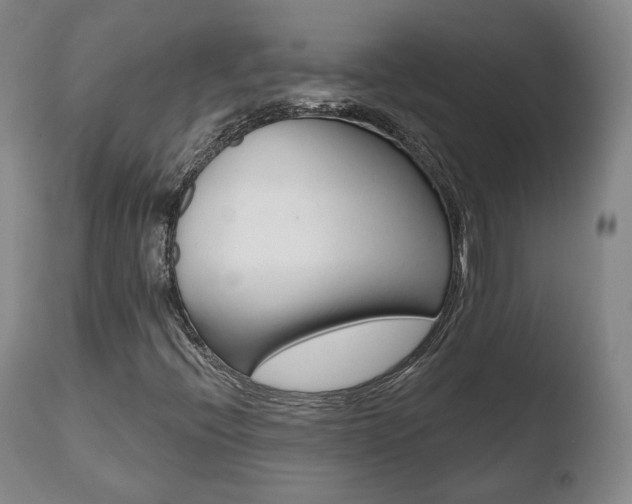 X0000110761396200906150919