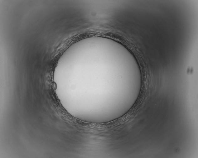 X0000110761397200906150919