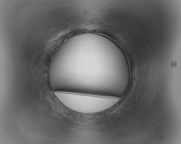 X0000110761398200906150919
