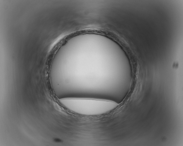 X0000110761400200906150919