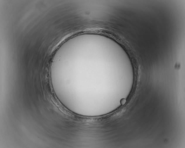 X0000110761401200906150919